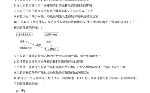 专题十三植物的激素调节&mdash;2025届高考生物考点剖析专题卷（含解析）_2025年新高考资料_一轮复习_2025届高考生物一轮复习考点剖析练习（有解析）