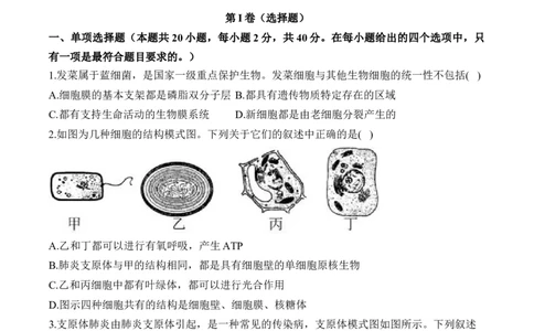 专题二细胞的结构与功能(有解析)&mdash;&mdash;2025届高考生物考点剖析_2025年新高考资料_一轮复习_2025届高考生物一轮复习考点剖析练习（有解析）