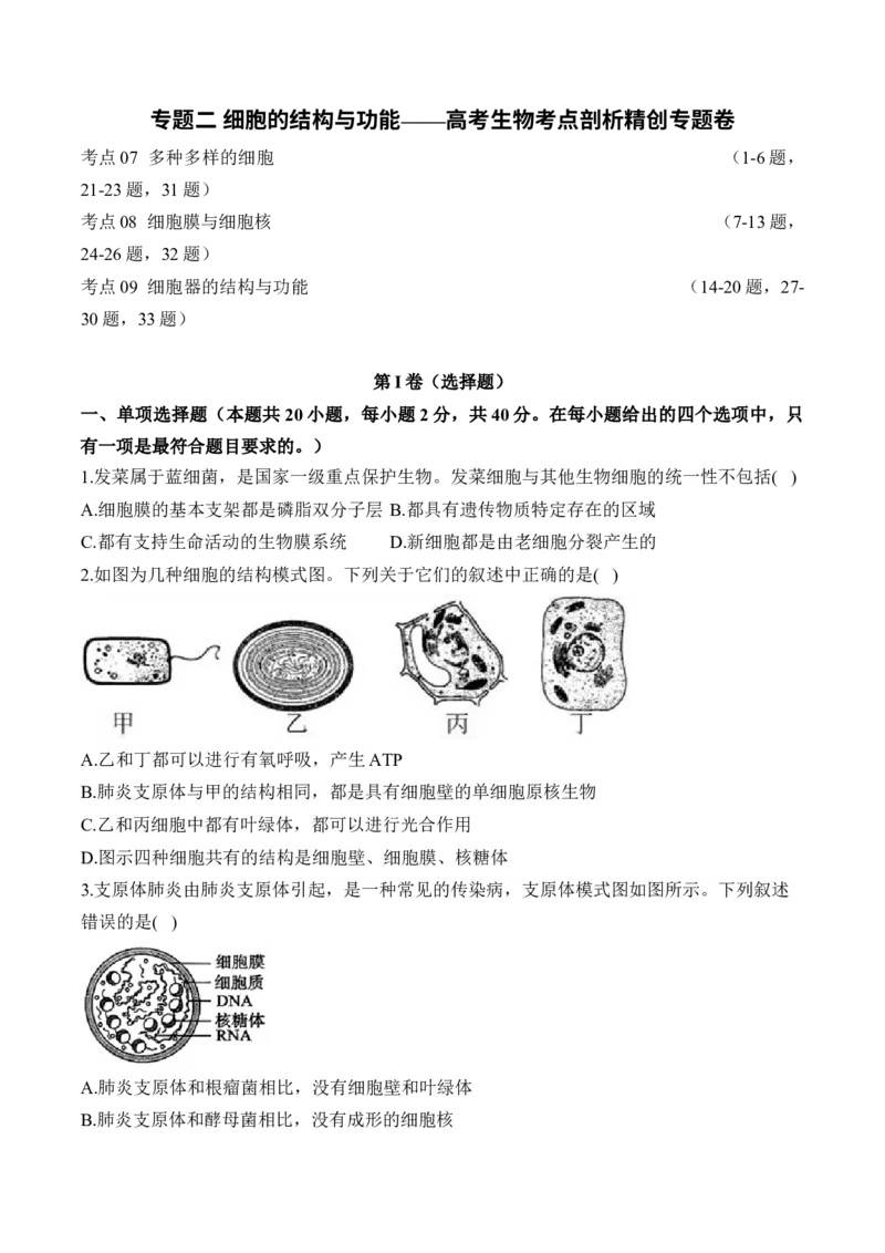 专题二细胞的结构与功能(有解析)&mdash;&mdash;2025届高考生物考点剖析_2025年新高考资料_一轮复习_2025届高考生物一轮复习考点剖析练习（有解析）