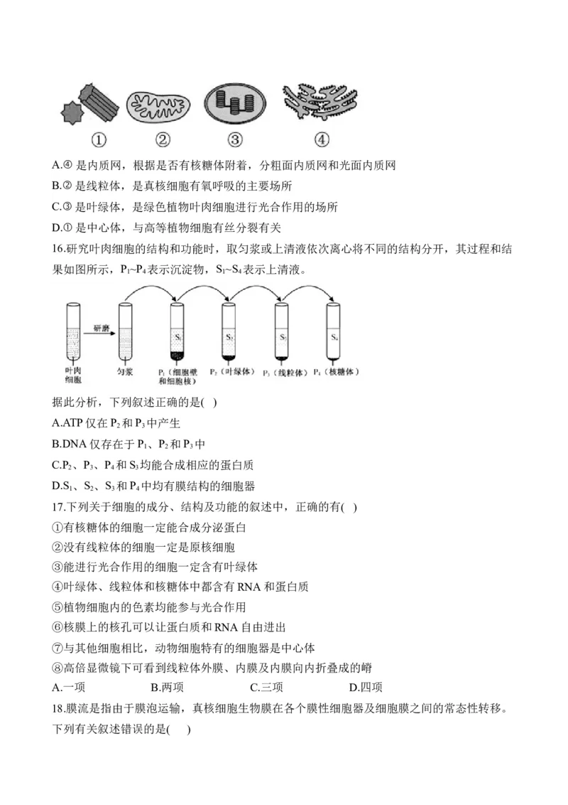 专题二细胞的结构与功能(有解析)&mdash;&mdash;2025届高考生物考点剖析_2025年新高考资料_一轮复习_2025届高考生物一轮复习考点剖析练习（有解析）