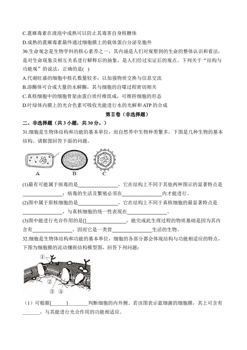 专题二细胞的结构与功能(有解析)&mdash;&mdash;2025届高考生物考点剖析_2025年新高考资料_一轮复习_2025届高考生物一轮复习考点剖析练习（有解析）