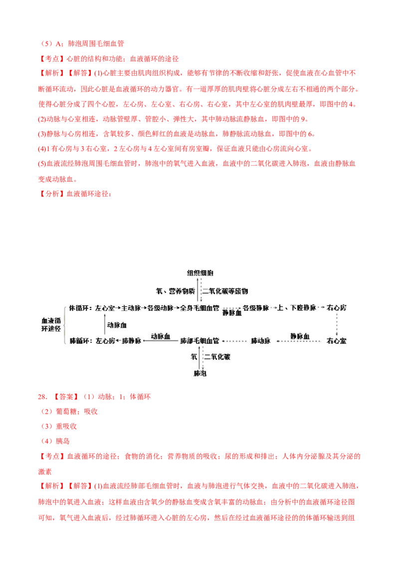 期末冲刺卷04-（人教版）（解析版）_初中全科电子版试卷练习试题_生物_生物人教版7下练习_人教生物7年级下期末试卷11份
