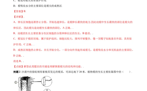 必考点17植株的生长-（人教版）（解析版）_初中全科电子版试卷练习试题_生物_生物人教版7上练习&mdash;24新版已更新_人教生物7年级上专项练习28份