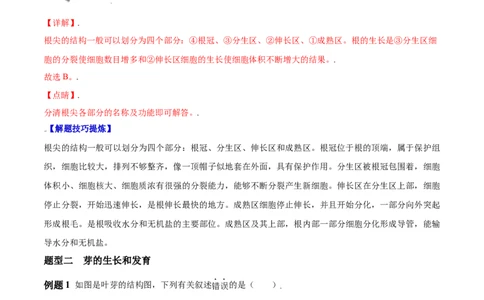 必考点17植株的生长-（人教版）（解析版）_初中全科电子版试卷练习试题_生物_生物人教版7上练习&mdash;24新版已更新_人教生物7年级上专项练习28份