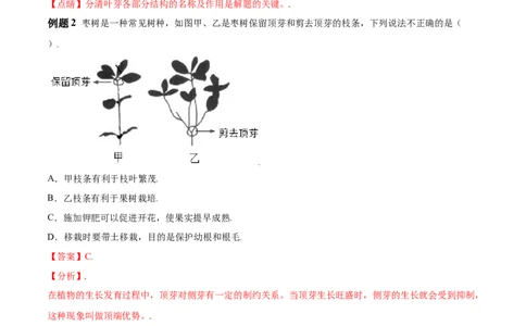 必考点17植株的生长-（人教版）（解析版）_初中全科电子版试卷练习试题_生物_生物人教版7上练习&mdash;24新版已更新_人教生物7年级上专项练习28份