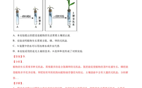 必考点17植株的生长-（人教版）（解析版）_初中全科电子版试卷练习试题_生物_生物人教版7上练习&mdash;24新版已更新_人教生物7年级上专项练习28份