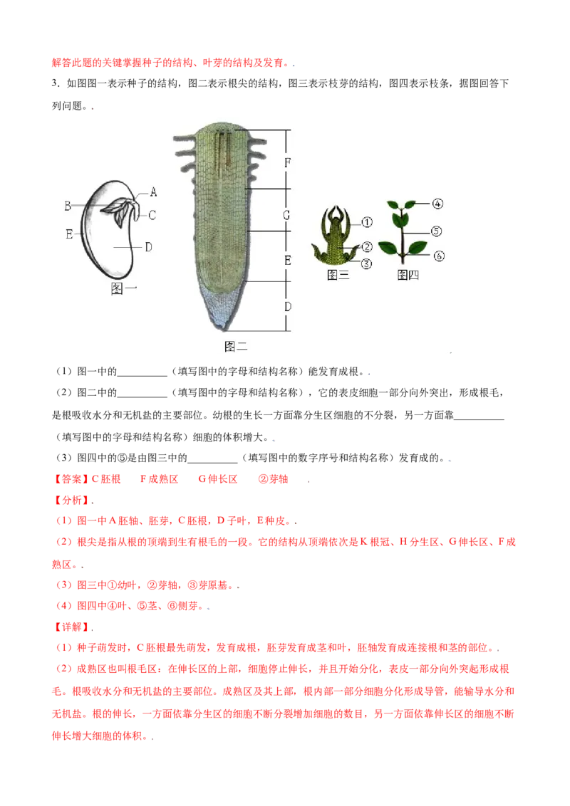 必考点17植株的生长-（人教版）（解析版）_初中全科电子版试卷练习试题_生物_生物人教版7上练习&mdash;24新版已更新_人教生物7年级上专项练习28份