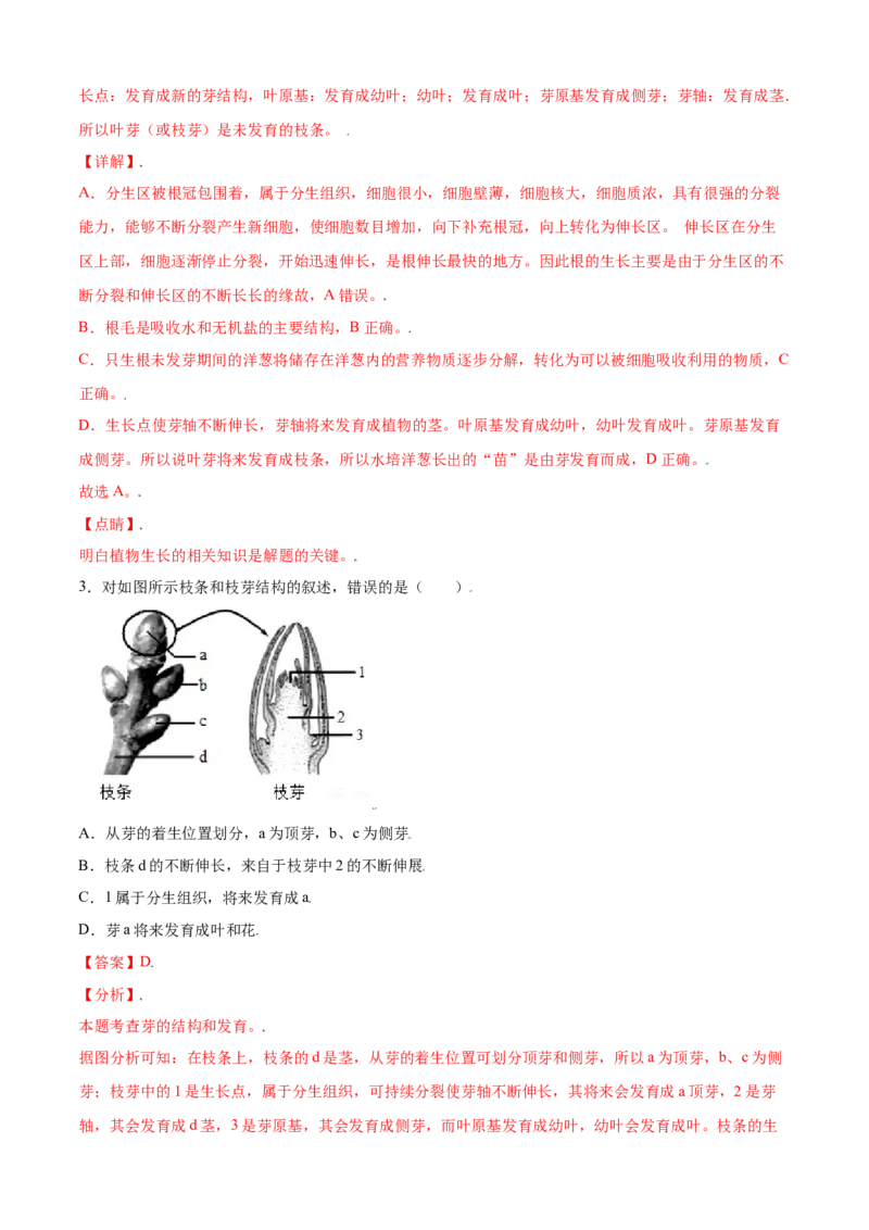 必考点17植株的生长-（人教版）（解析版）_初中全科电子版试卷练习试题_生物_生物人教版7上练习&mdash;24新版已更新_人教生物7年级上专项练习28份