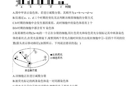 专题5遗传的细胞学基础（选择题）&mdash;&mdash;2025届高考生物学模块分练新高考版（含解析）_2025年新高考资料_二轮复习_新高考版2025届高考生物学模块分练选择题与非选择题（含解析）
