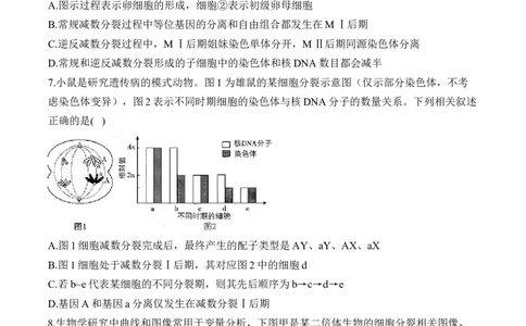 专题5遗传的细胞学基础（选择题）&mdash;&mdash;2025届高考生物学模块分练新高考版（含解析）_2025年新高考资料_二轮复习_新高考版2025届高考生物学模块分练选择题与非选择题（含解析）