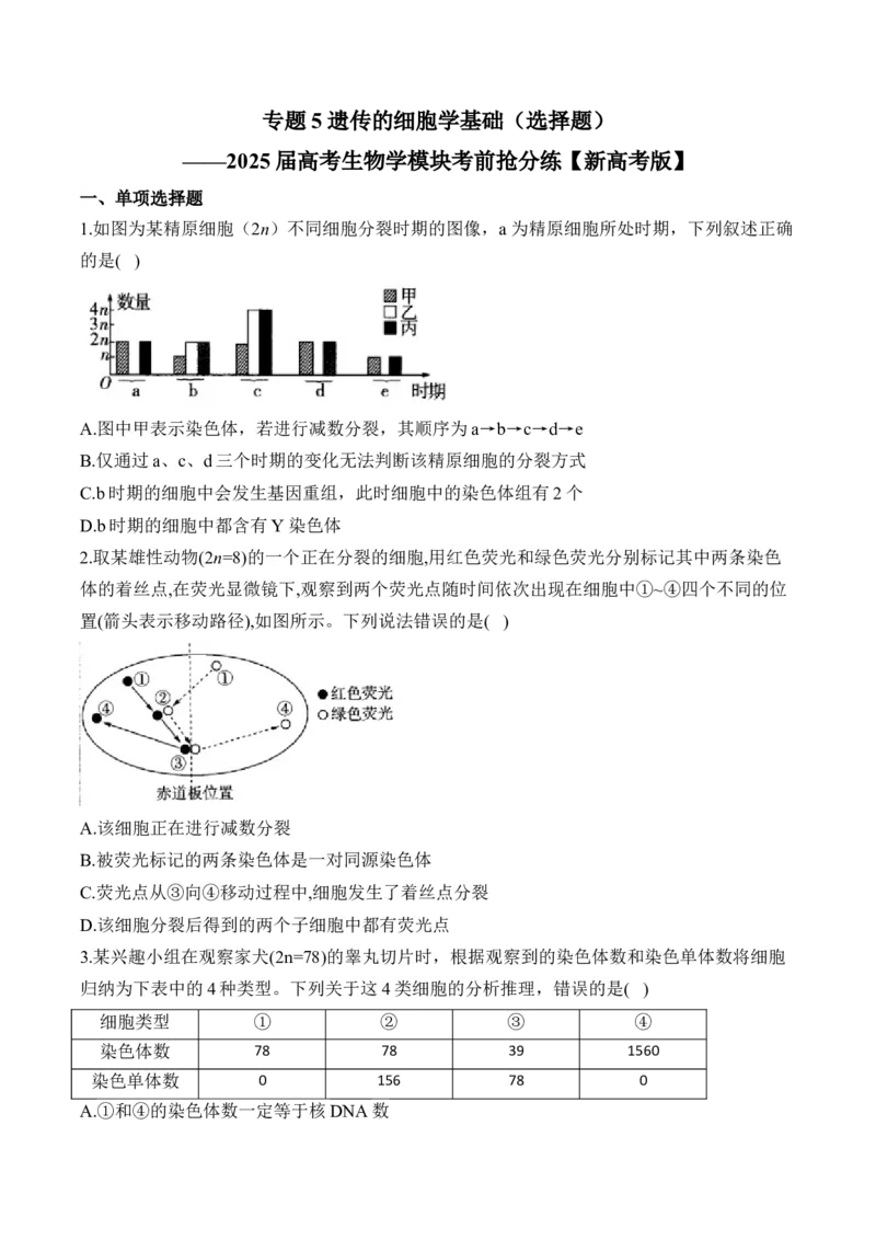 专题5遗传的细胞学基础（选择题）&mdash;&mdash;2025届高考生物学模块分练新高考版（含解析）_2025年新高考资料_二轮复习_新高考版2025届高考生物学模块分练选择题与非选择题（含解析）