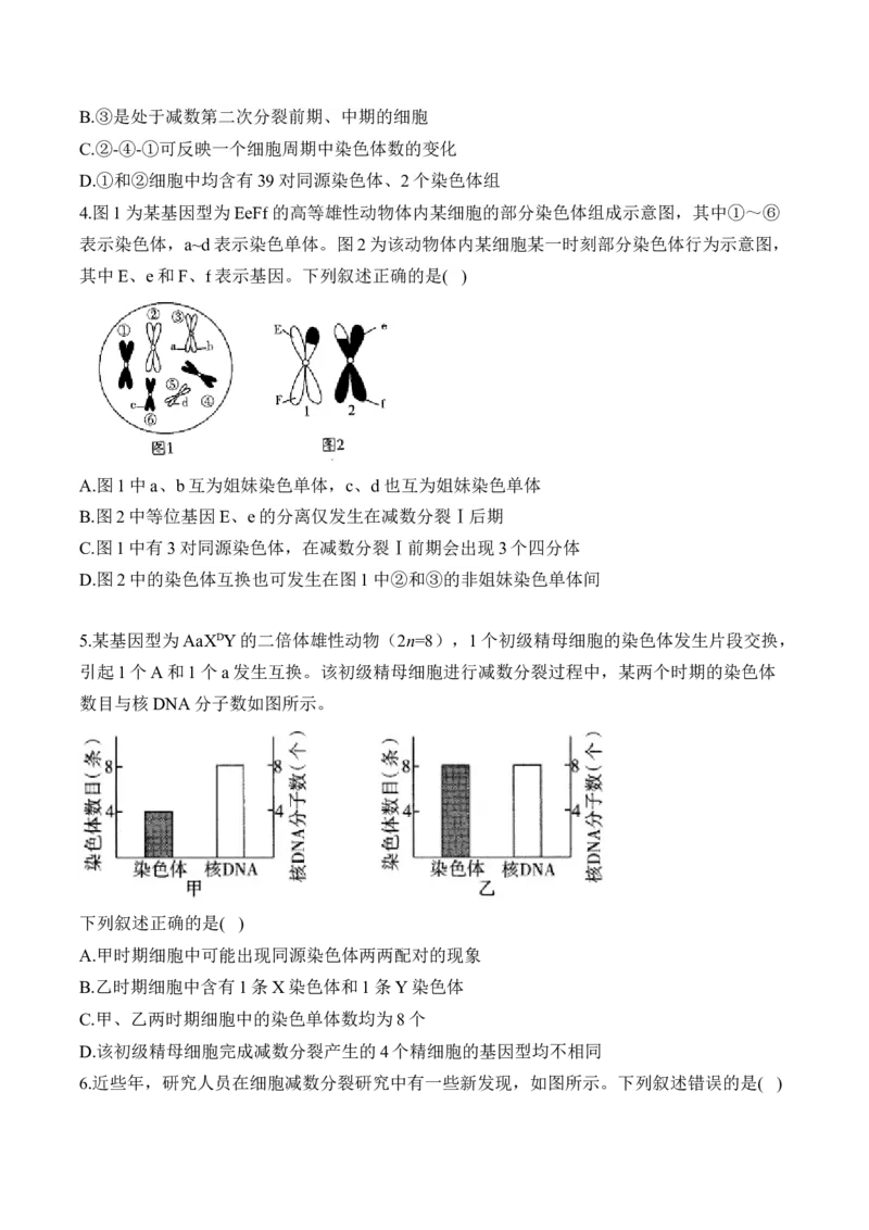 专题5遗传的细胞学基础（选择题）&mdash;&mdash;2025届高考生物学模块分练新高考版（含解析）_2025年新高考资料_二轮复习_新高考版2025届高考生物学模块分练选择题与非选择题（含解析）