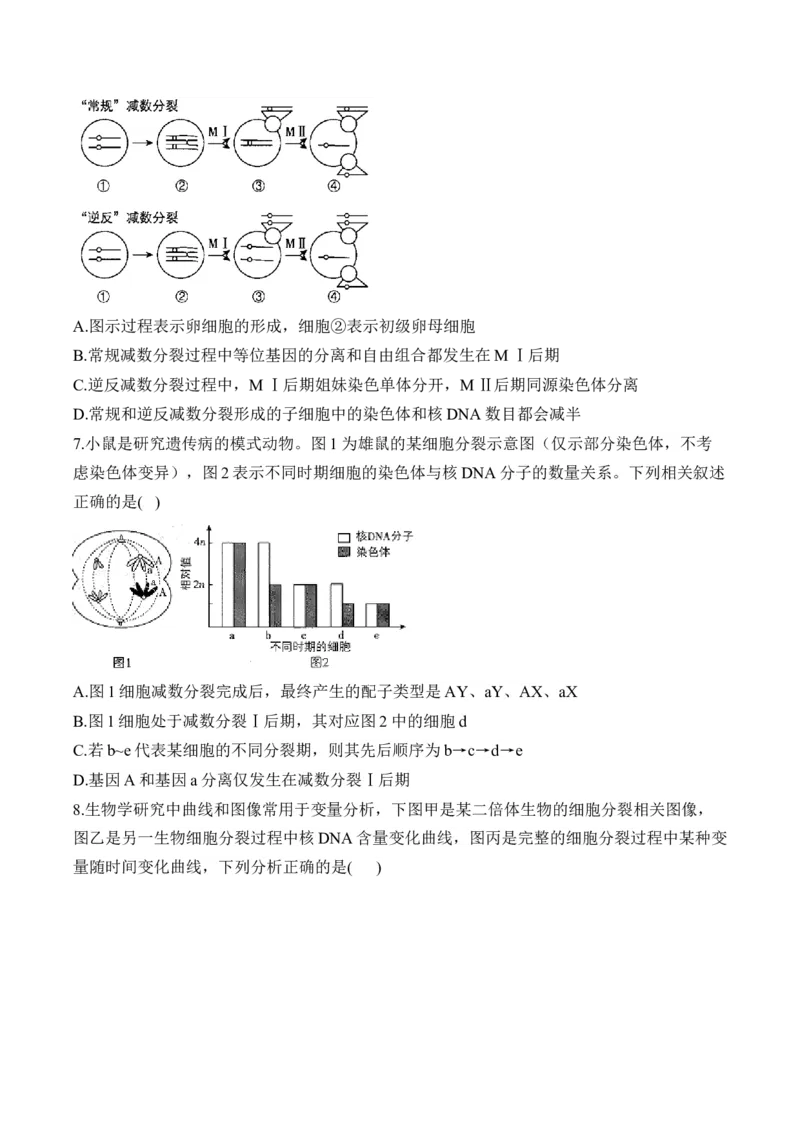专题5遗传的细胞学基础（选择题）&mdash;&mdash;2025届高考生物学模块分练新高考版（含解析）_2025年新高考资料_二轮复习_新高考版2025届高考生物学模块分练选择题与非选择题（含解析）