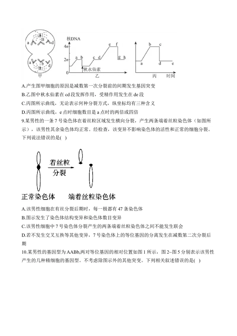 专题5遗传的细胞学基础（选择题）&mdash;&mdash;2025届高考生物学模块分练新高考版（含解析）_2025年新高考资料_二轮复习_新高考版2025届高考生物学模块分练选择题与非选择题（含解析）