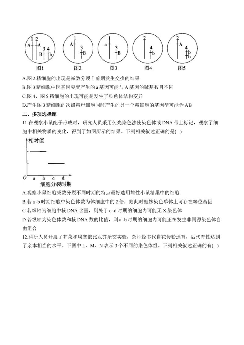 专题5遗传的细胞学基础（选择题）&mdash;&mdash;2025届高考生物学模块分练新高考版（含解析）_2025年新高考资料_二轮复习_新高考版2025届高考生物学模块分练选择题与非选择题（含解析）