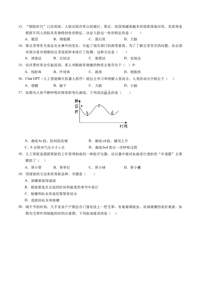 生物（广州卷）（考试版A4）_初中全科电子版试卷练习试题_生物_2024中考模拟题生物(1)_二模_生物（广州卷）-：2024年中考第二次模拟考试