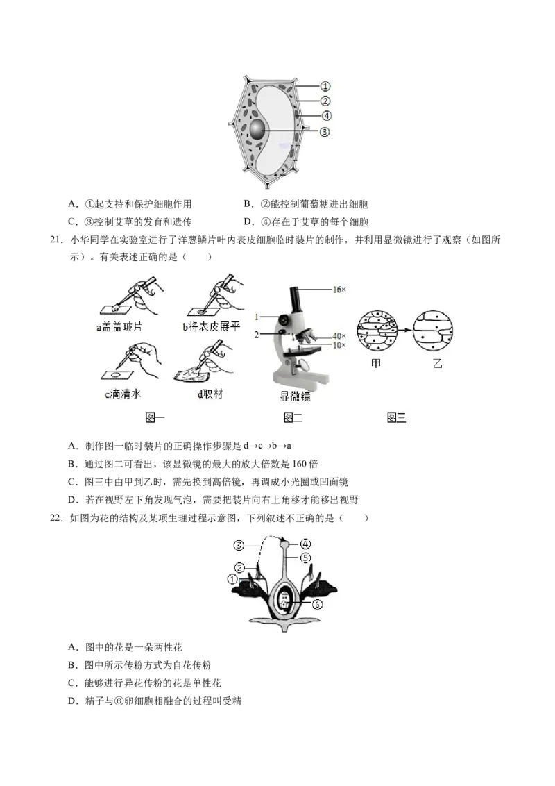 生物（广州卷）（考试版A4）_初中全科电子版试卷练习试题_生物_2024中考模拟题生物(1)_二模_生物（广州卷）-：2024年中考第二次模拟考试