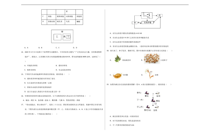 生物（盐城卷）（考试版A3）_初中全科电子版试卷练习试题_生物_2024中考模拟题生物(1)_三模（37套）_生物（盐城卷）