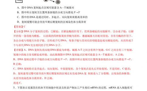 信息必刷卷05（黑吉辽蒙专用）（解析版）_2025年新高考资料_2025考前信息卷_2025年高考生物考前信息必刷卷（黑吉辽蒙专用）34415095
