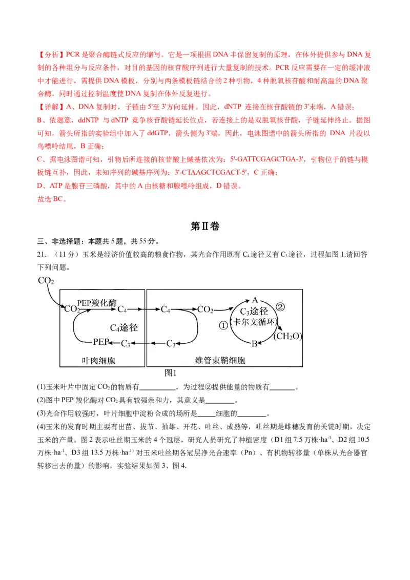 信息必刷卷05（黑吉辽蒙专用）（解析版）_2025年新高考资料_2025考前信息卷_2025年高考生物考前信息必刷卷（黑吉辽蒙专用）34415095