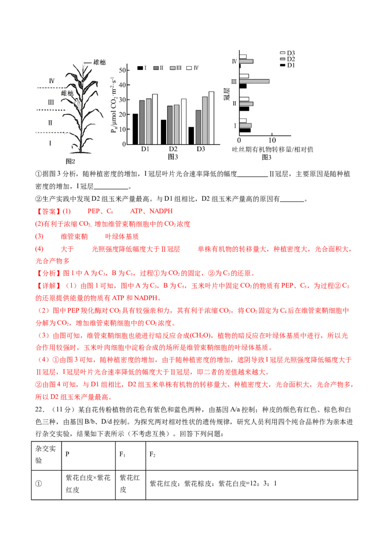 信息必刷卷05（黑吉辽蒙专用）（解析版）_2025年新高考资料_2025考前信息卷_2025年高考生物考前信息必刷卷（黑吉辽蒙专用）34415095