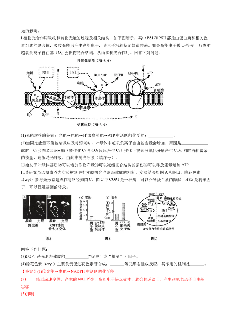 信息必刷卷05（黑吉辽蒙专用）（解析版）_2025年新高考资料_2025考前信息卷_2025年高考生物考前信息必刷卷（黑吉辽蒙专用）34415095