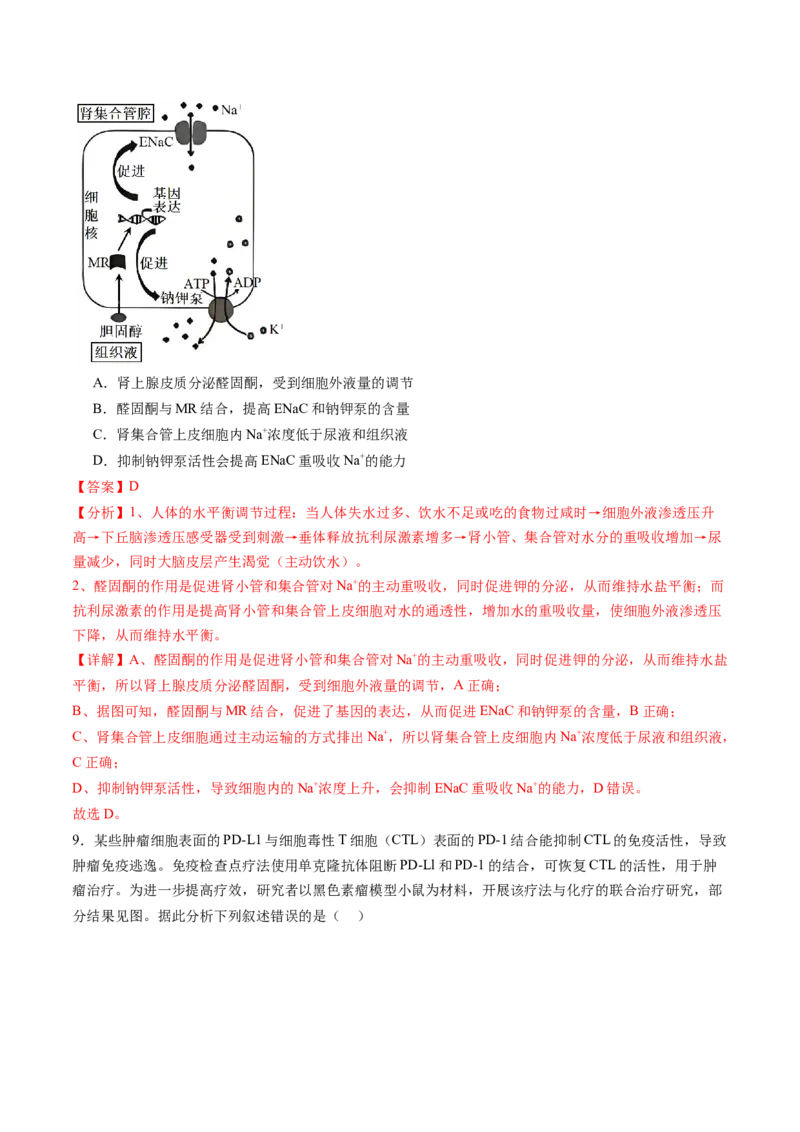 信息必刷卷05（黑吉辽蒙专用）（解析版）_2025年新高考资料_2025考前信息卷_2025年高考生物考前信息必刷卷（黑吉辽蒙专用）34415095