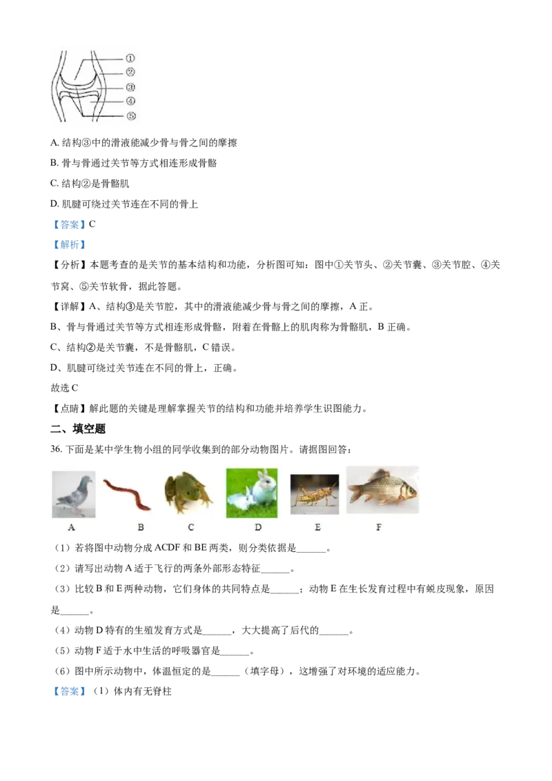 八年级9月月考生物试题（解析版）_初中全科电子版试卷练习试题_生物_生物8下练习_人教生物8年级下月考试卷04份_月考试卷（第一套）