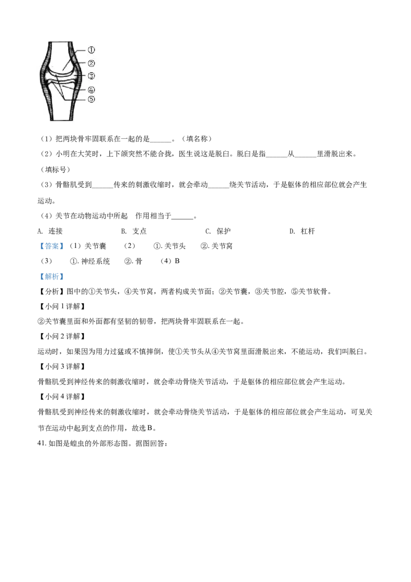 八年级9月月考生物试题（解析版）_初中全科电子版试卷练习试题_生物_生物8下练习_人教生物8年级下月考试卷04份_月考试卷（第一套）