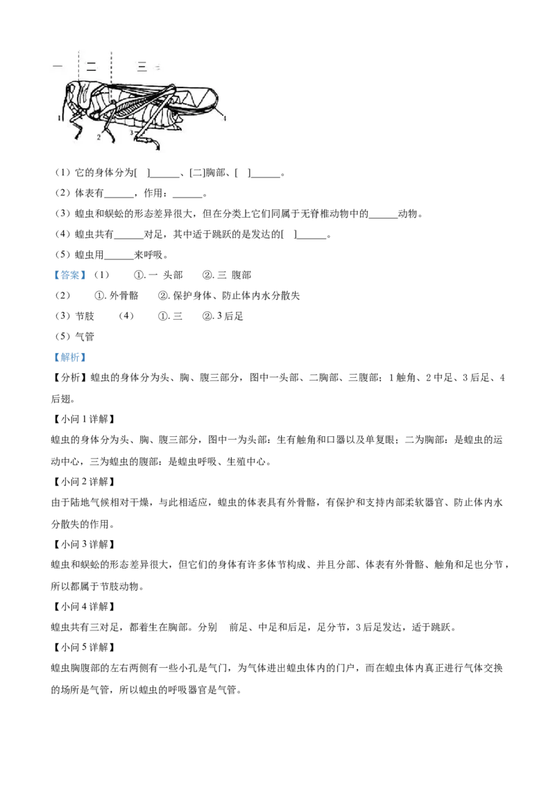 八年级9月月考生物试题（解析版）_初中全科电子版试卷练习试题_生物_生物8下练习_人教生物8年级下月考试卷04份_月考试卷（第一套）