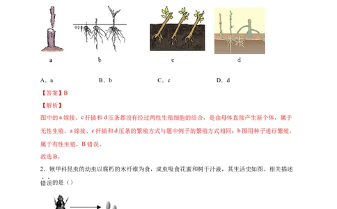 第一单元生物的生殖和发育（提分小卷）-单元测试（人教版）（解析版）_初中全科电子版试卷练习试题_生物_生物8下练习_人教生物8年级下单元试卷38份