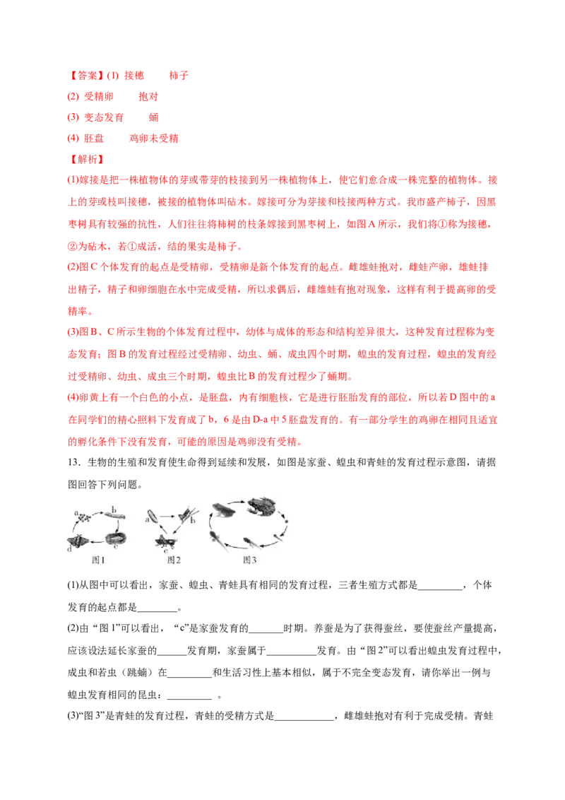 第一单元生物的生殖和发育（提分小卷）-单元测试（人教版）（解析版）_初中全科电子版试卷练习试题_生物_生物8下练习_人教生物8年级下单元试卷38份