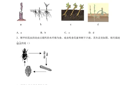 第一单元生物的生殖和发育（提分小卷）-单元测试（人教版）（原卷版）_初中全科电子版试卷练习试题_生物_生物8下练习_人教生物8年级下单元试卷38份
