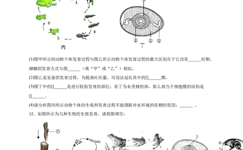 第一单元生物的生殖和发育（提分小卷）-单元测试（人教版）（原卷版）_初中全科电子版试卷练习试题_生物_生物8下练习_人教生物8年级下单元试卷38份