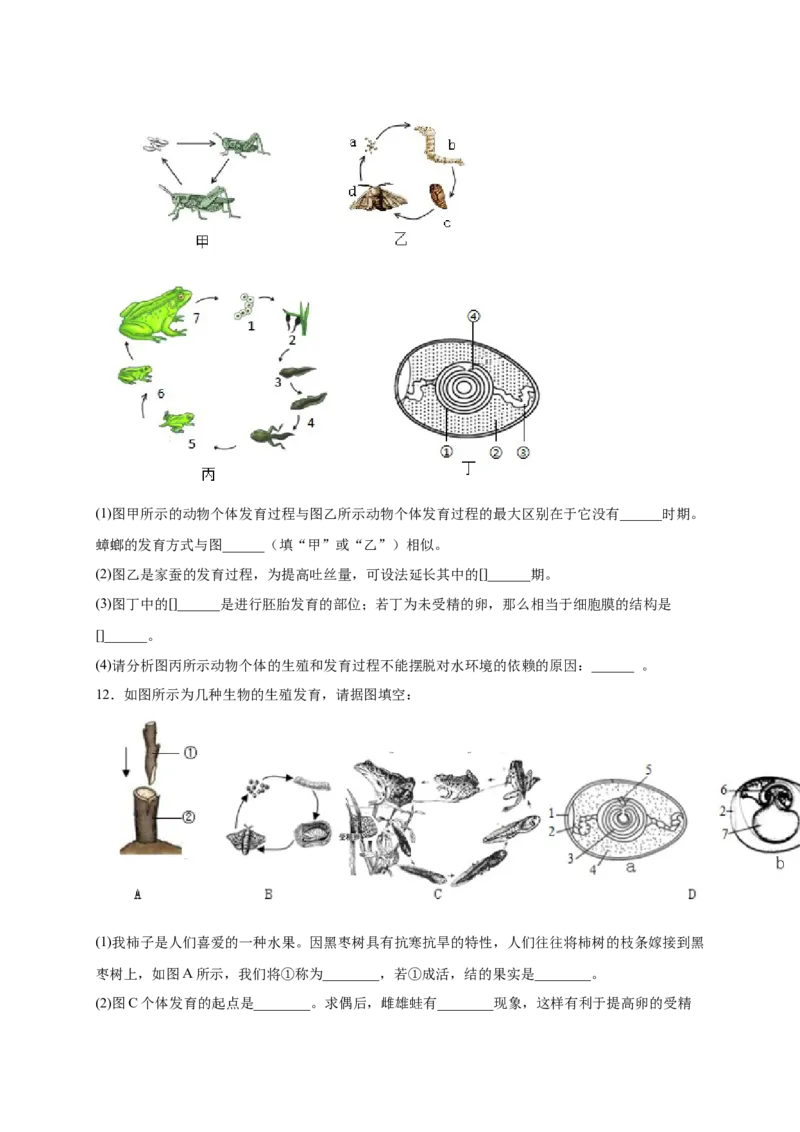 第一单元生物的生殖和发育（提分小卷）-单元测试（人教版）（原卷版）_初中全科电子版试卷练习试题_生物_生物8下练习_人教生物8年级下单元试卷38份