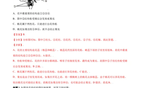 必考点18开花和结果-（人教版）（解析版）_初中全科电子版试卷练习试题_生物_生物人教版7上练习&mdash;24新版已更新_人教生物7年级上专项练习28份