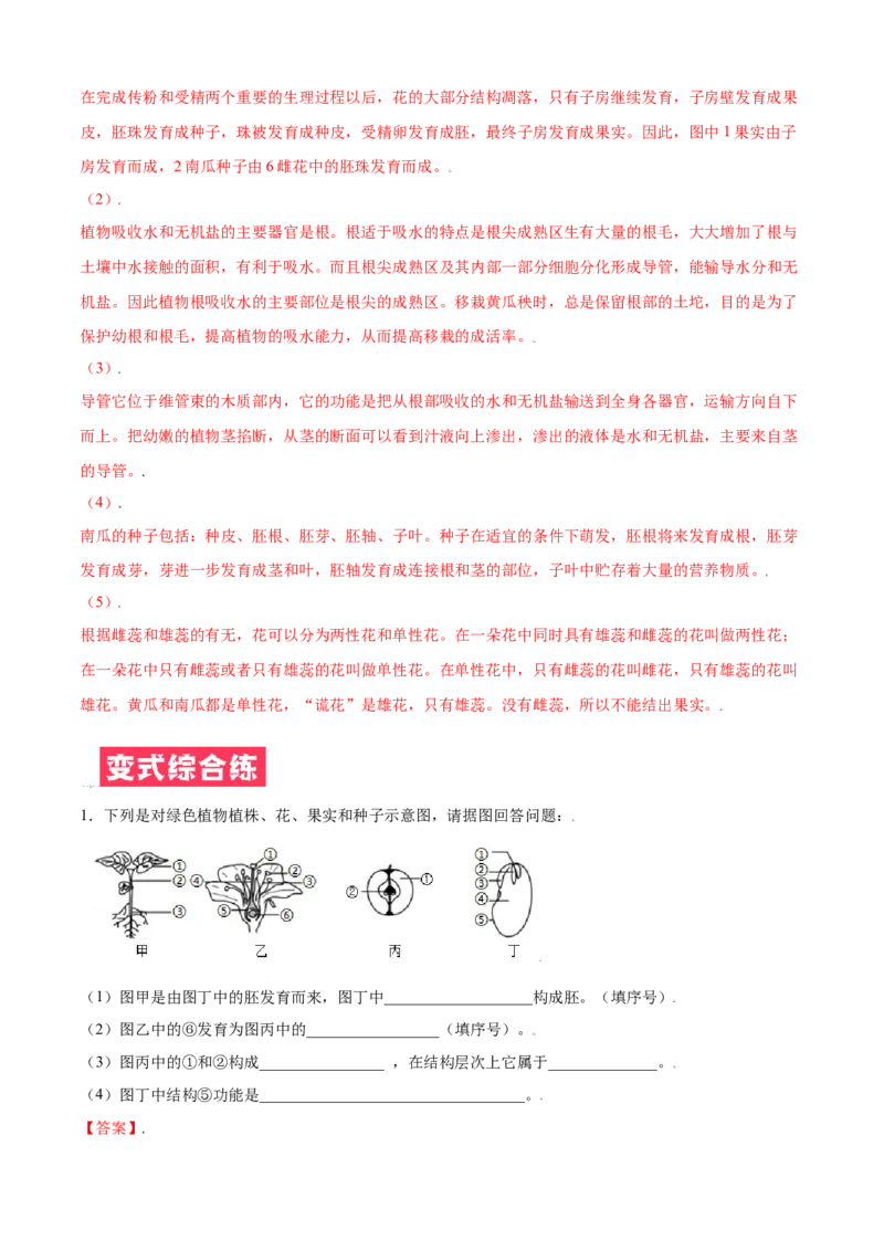 必考点18开花和结果-（人教版）（解析版）_初中全科电子版试卷练习试题_生物_生物人教版7上练习&mdash;24新版已更新_人教生物7年级上专项练习28份