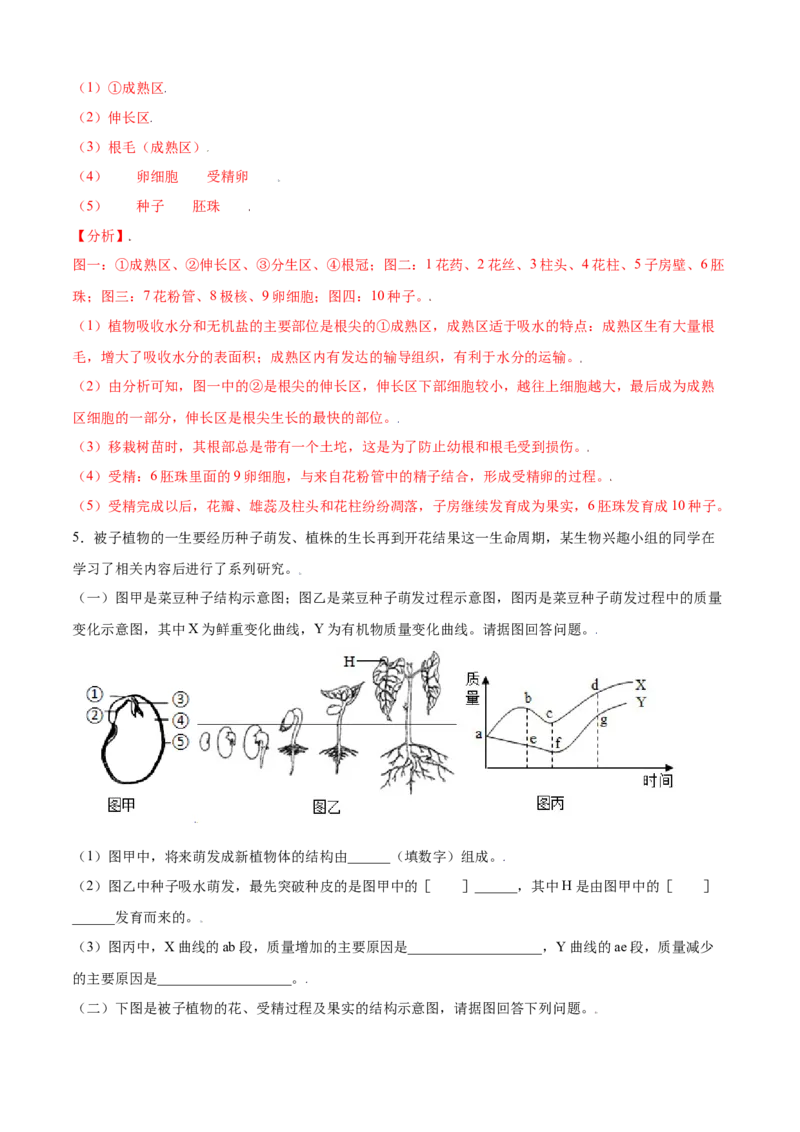 必考点18开花和结果-（人教版）（解析版）_初中全科电子版试卷练习试题_生物_生物人教版7上练习&mdash;24新版已更新_人教生物7年级上专项练习28份