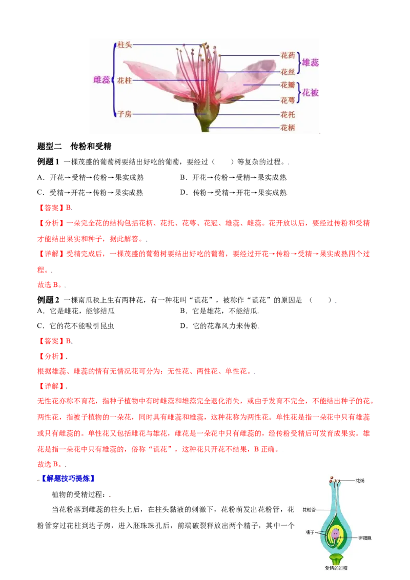 必考点18开花和结果-（人教版）（解析版）_初中全科电子版试卷练习试题_生物_生物人教版7上练习&mdash;24新版已更新_人教生物7年级上专项练习28份