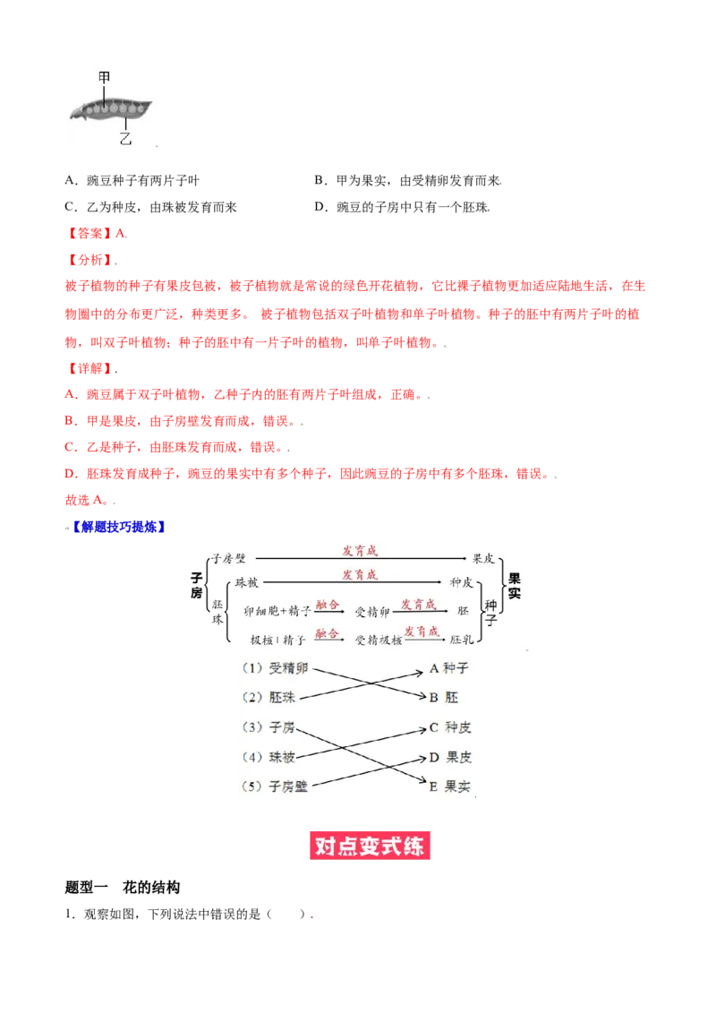必考点18开花和结果-（人教版）（解析版）_初中全科电子版试卷练习试题_生物_生物人教版7上练习&mdash;24新版已更新_人教生物7年级上专项练习28份