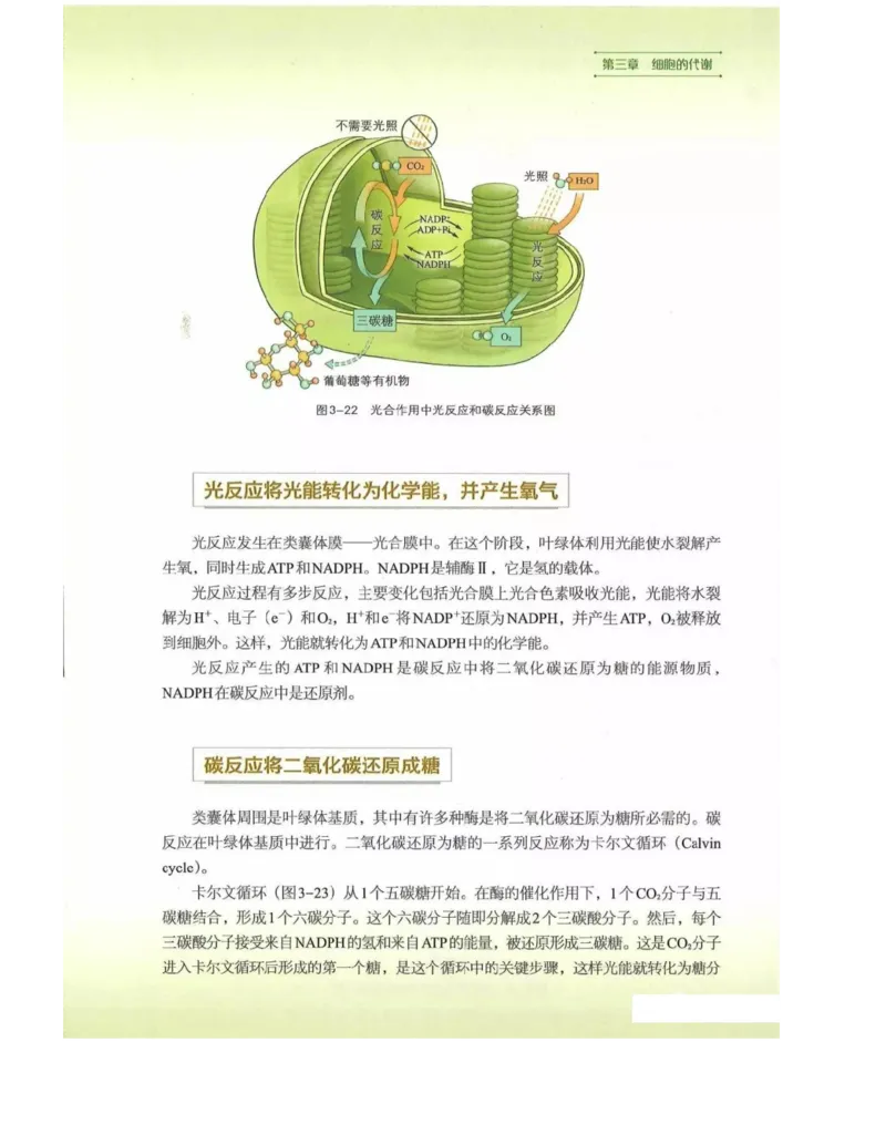 新浙科版高中生物必修1《分子与细胞》_高中电子课本_最新版高中全科高清电子课本_6高中生物课本_2019新人教版