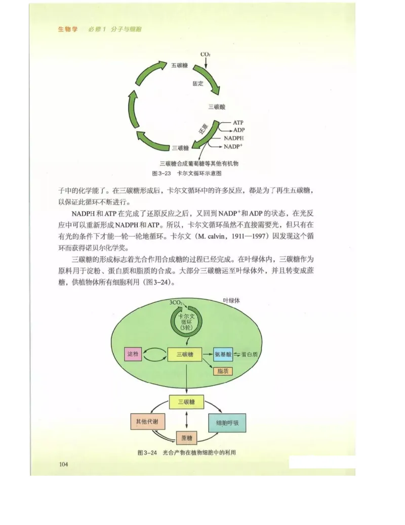 新浙科版高中生物必修1《分子与细胞》_高中电子课本_最新版高中全科高清电子课本_6高中生物课本_2019新人教版