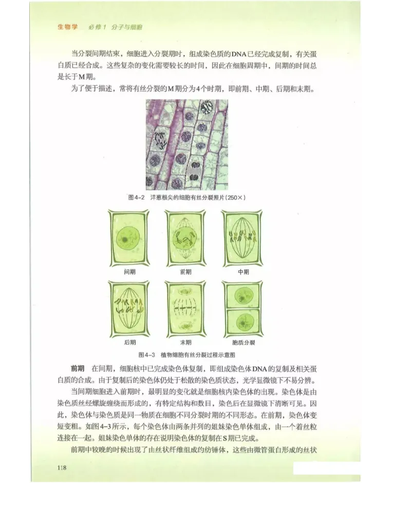 新浙科版高中生物必修1《分子与细胞》_高中电子课本_最新版高中全科高清电子课本_6高中生物课本_2019新人教版