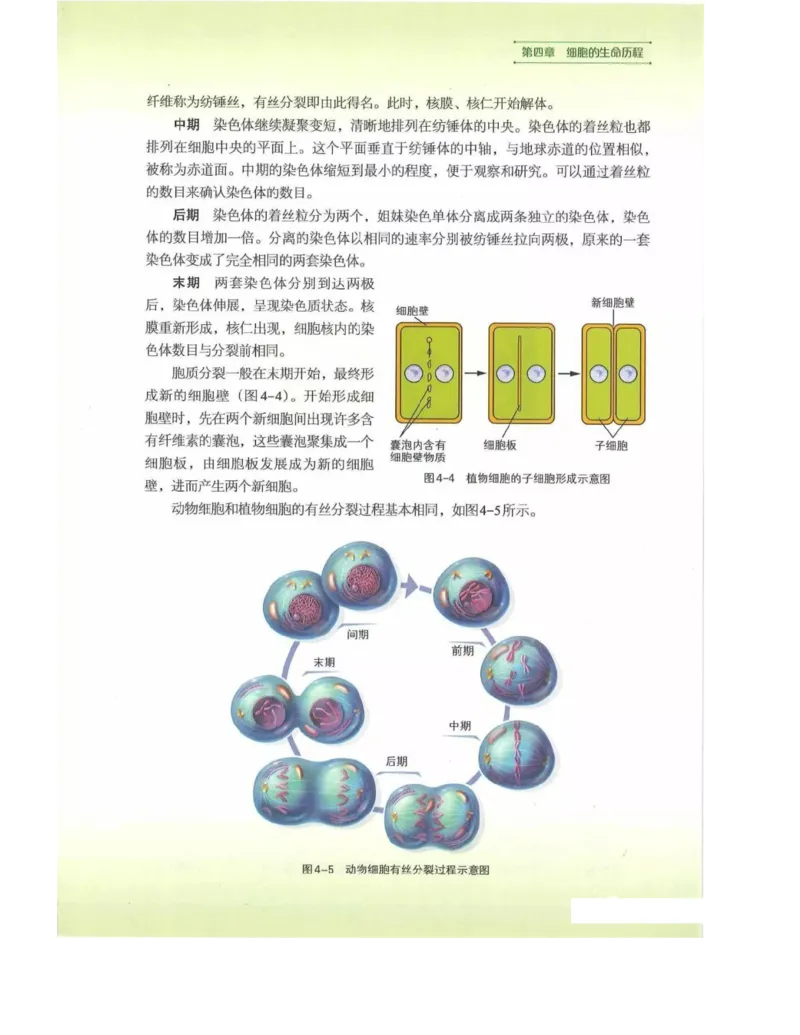 新浙科版高中生物必修1《分子与细胞》_高中电子课本_最新版高中全科高清电子课本_6高中生物课本_2019新人教版