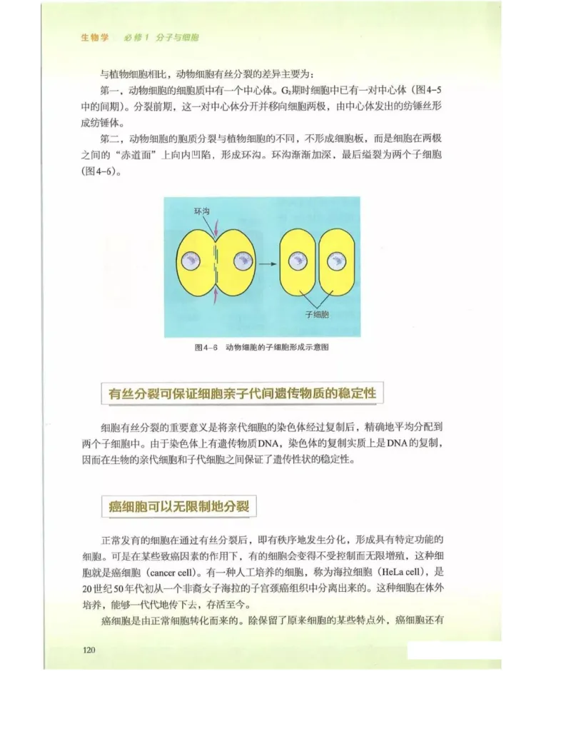 新浙科版高中生物必修1《分子与细胞》_高中电子课本_最新版高中全科高清电子课本_6高中生物课本_2019新人教版