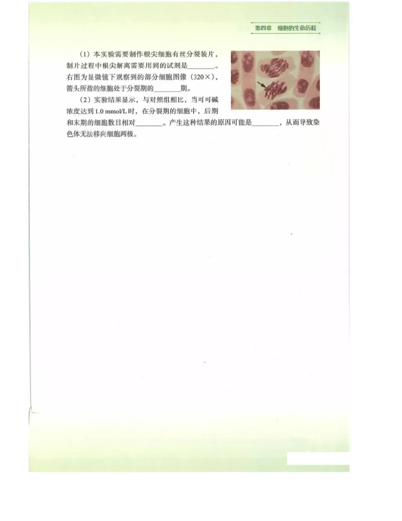 新浙科版高中生物必修1《分子与细胞》_高中电子课本_最新版高中全科高清电子课本_6高中生物课本_2019新人教版
