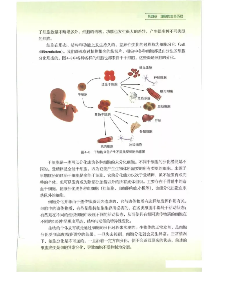 新浙科版高中生物必修1《分子与细胞》_高中电子课本_最新版高中全科高清电子课本_6高中生物课本_2019新人教版