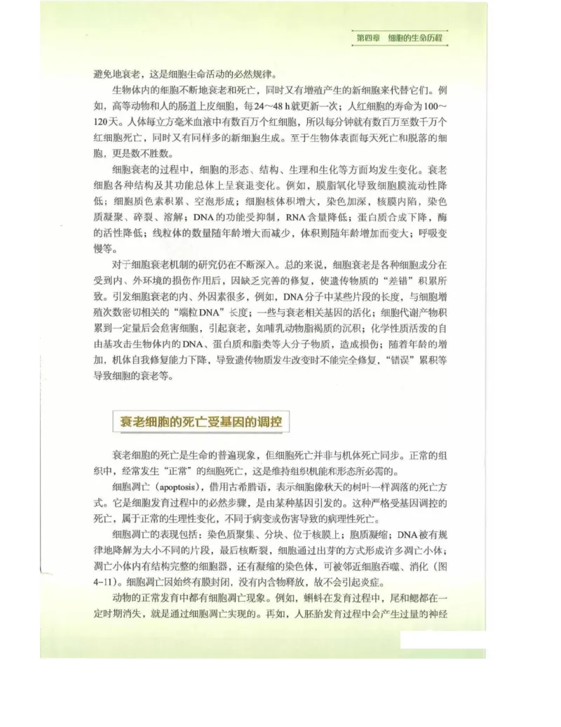 新浙科版高中生物必修1《分子与细胞》_高中电子课本_最新版高中全科高清电子课本_6高中生物课本_2019新人教版