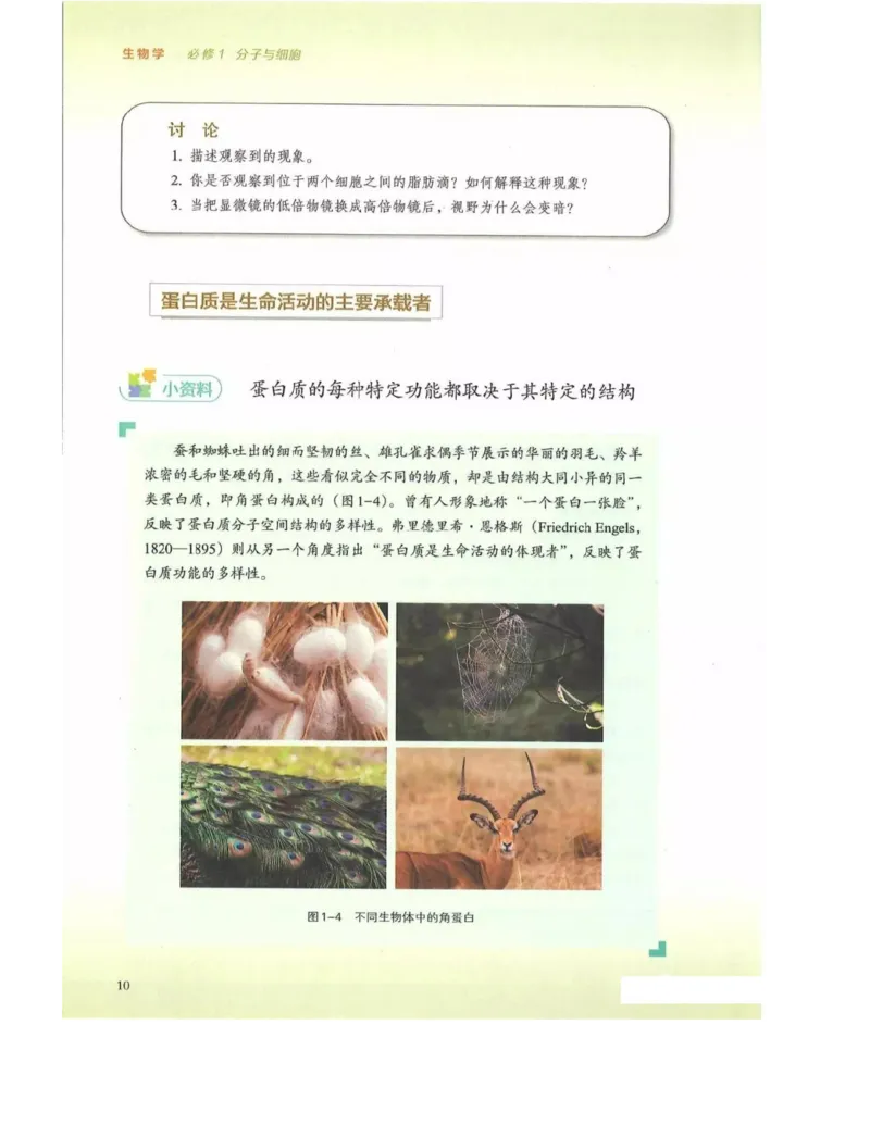 新浙科版高中生物必修1《分子与细胞》_高中电子课本_最新版高中全科高清电子课本_6高中生物课本_2019新人教版