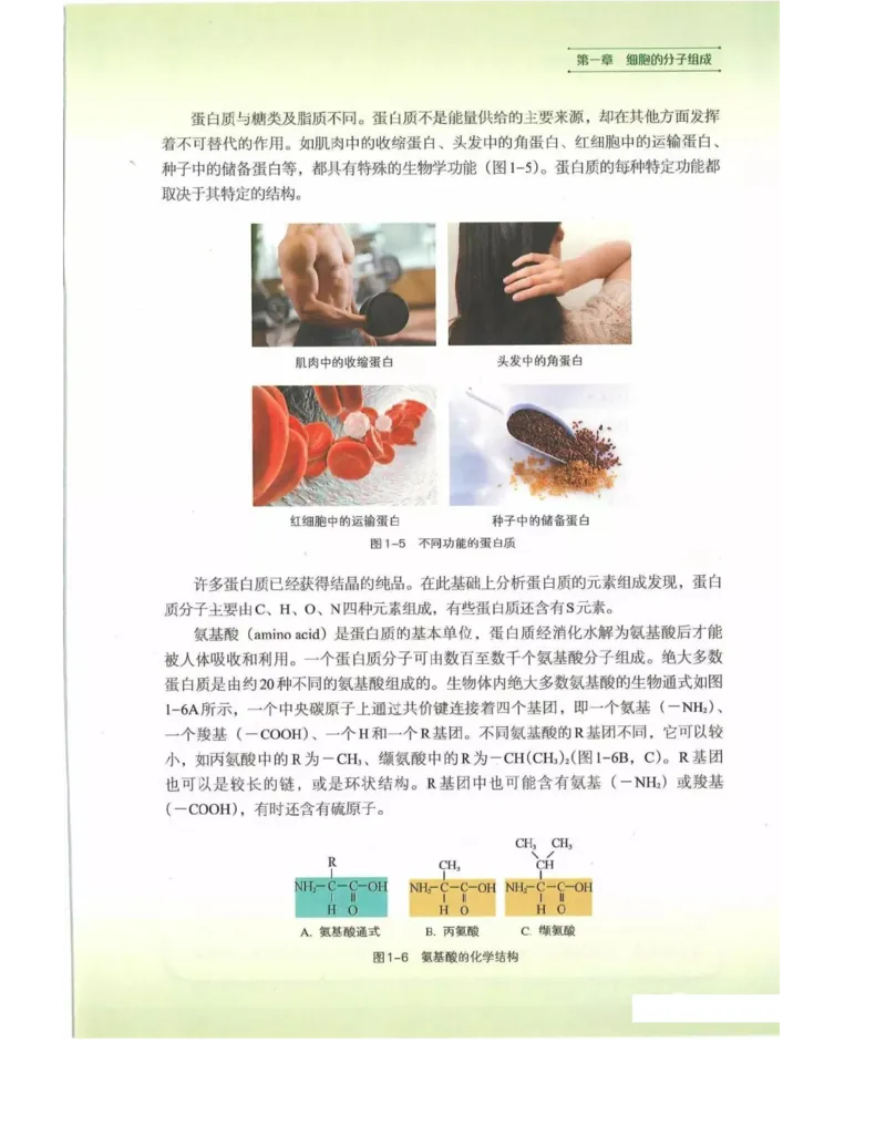 新浙科版高中生物必修1《分子与细胞》_高中电子课本_最新版高中全科高清电子课本_6高中生物课本_2019新人教版